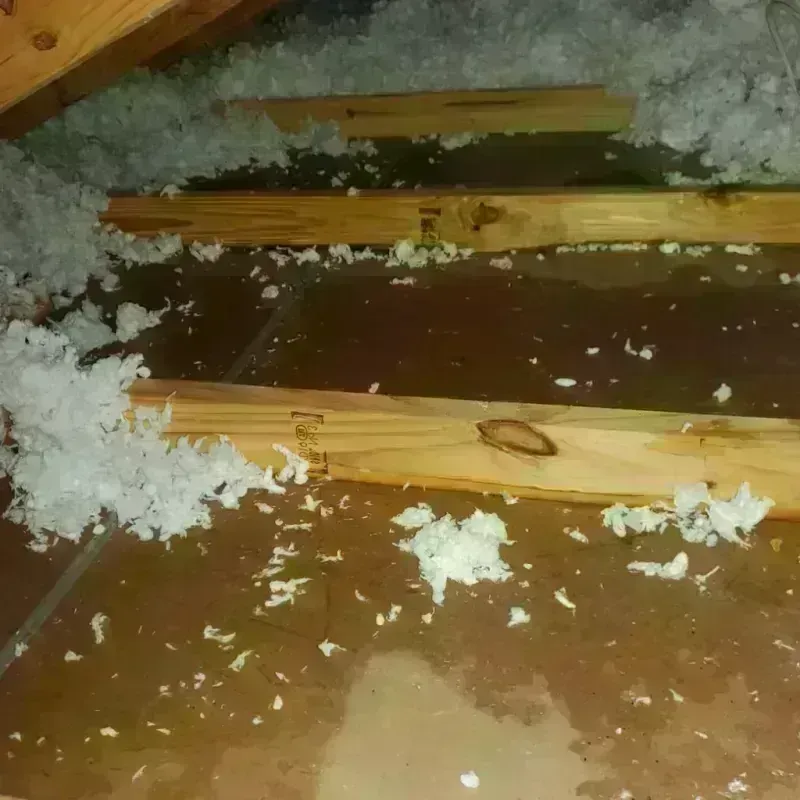 Attic Water Damage in Cambridge Springs, PA